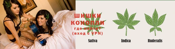 спиды Бронницы