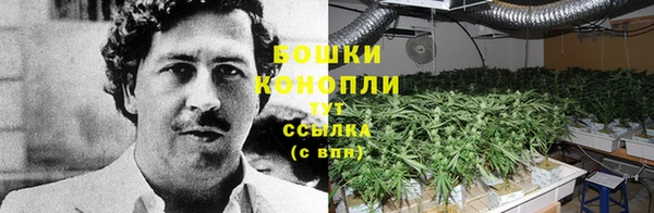 винт Верея