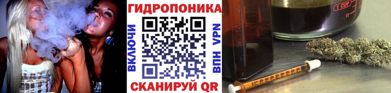 Шишки марихуана тримм  Вытегра 